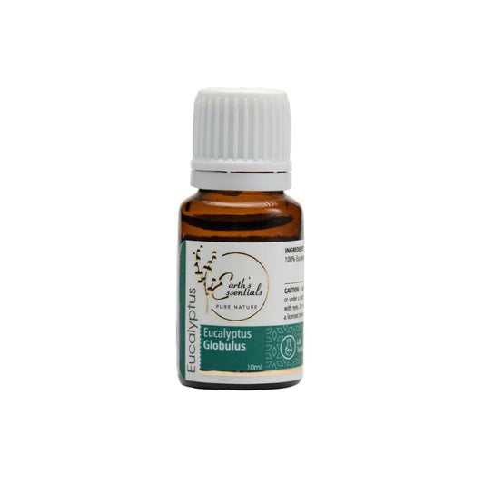 Eucalyptus - Eucalyptus Globulus