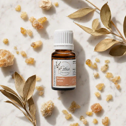 Indian Frankincense - Boswellia Serrata