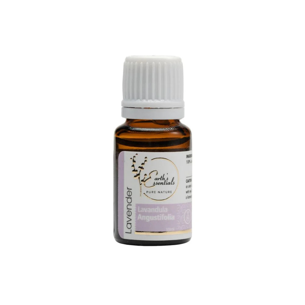 Lavender - Lavandula Angustifolia