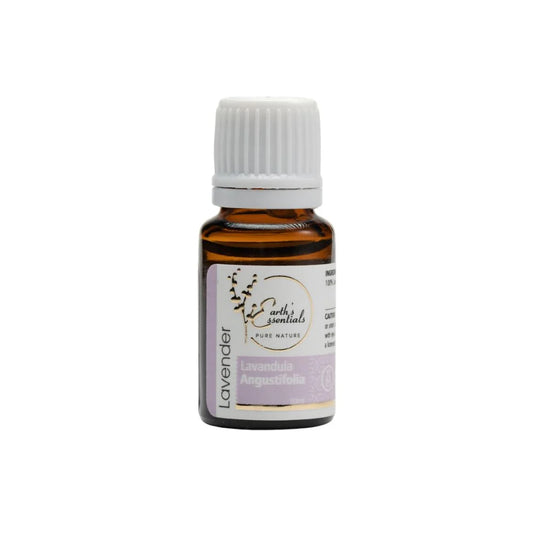Lavender - Lavandula Angustifolia