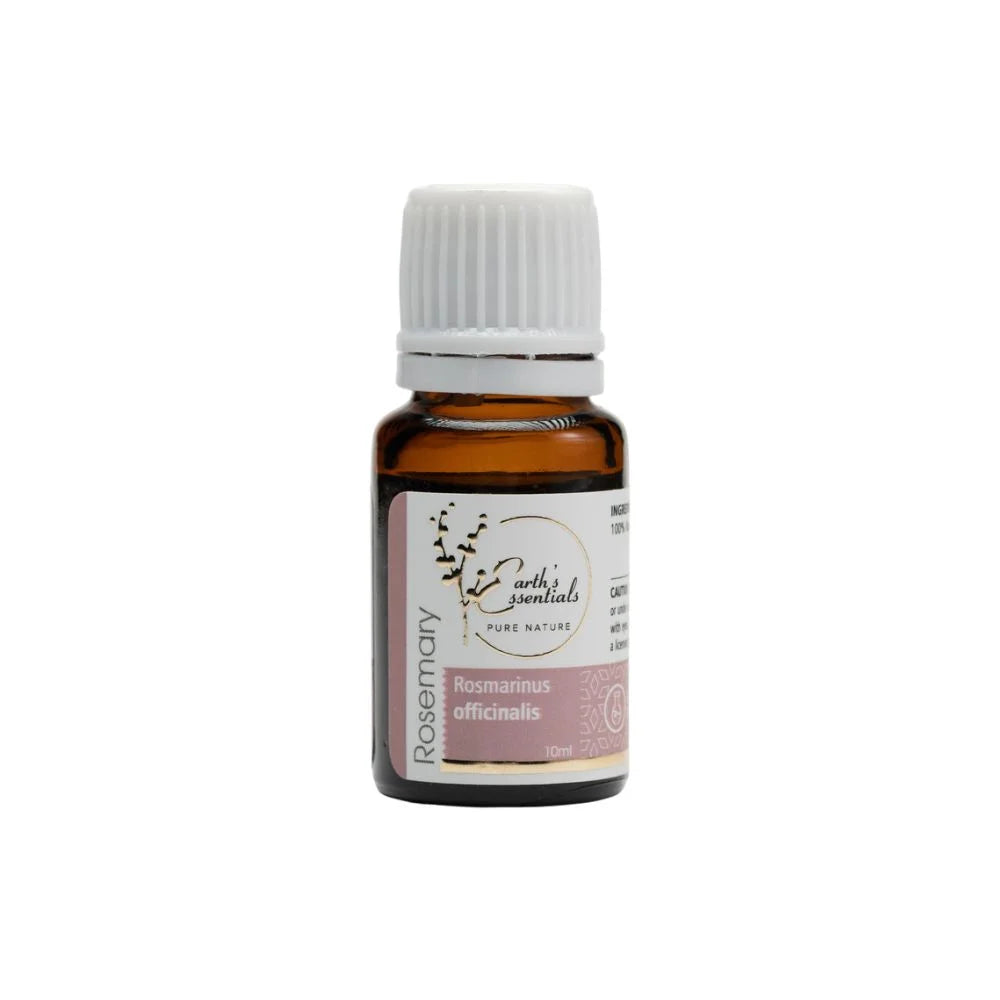 Rosemary - Rosmarinus Officinalis